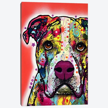 American Bulldog Canvas Print #13525} by Dean Russo Canvas Wall Art