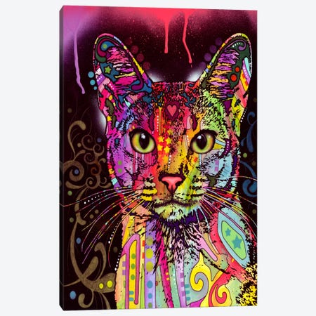 Abyssinian Canvas Print #13526} by Dean Russo Canvas Art