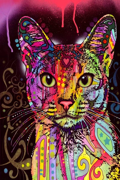 Cats: Abyssinian by Dean Russo