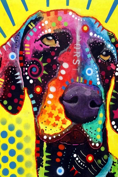 German Shorthaired Pointers: German Short Hair Pointer by Dean Russo