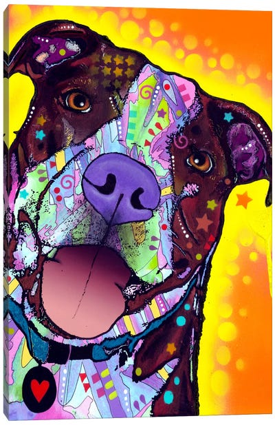 Daisy Pit Canvas Art Print - Staffordshire Bull Terrier Art