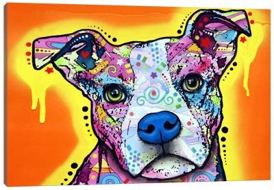 Serious Pit Canvas Art Print - Bull Terrier Art