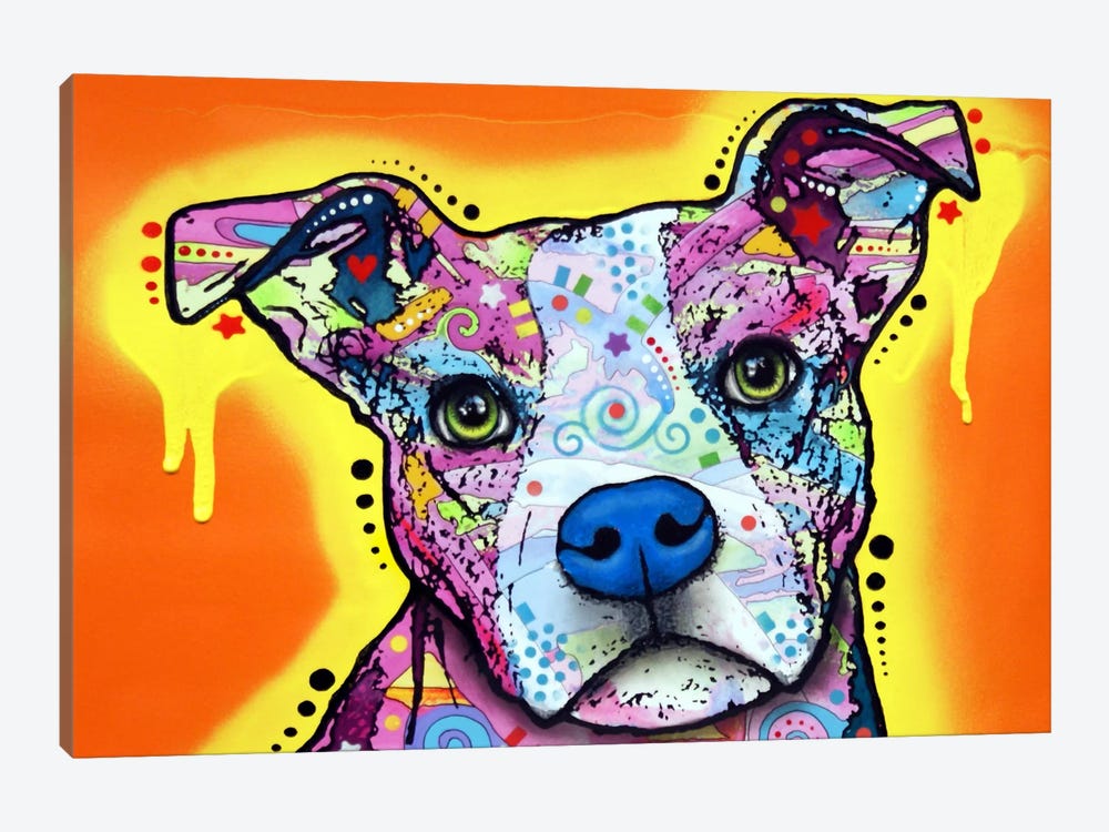 Serious Pit by Dean Russo 1-piece Canvas Wall Art