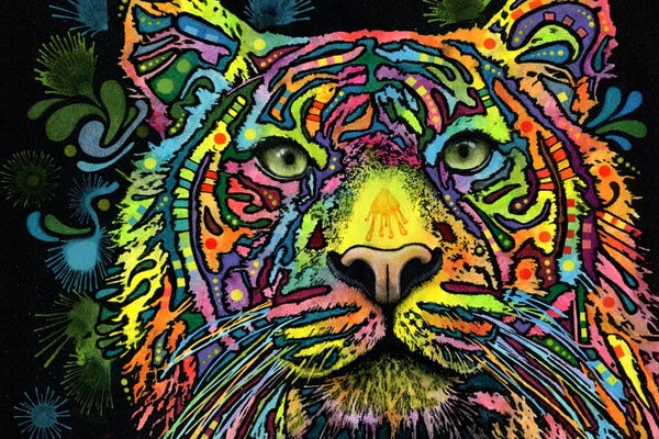 Tigers: Tiger by Dean Russo