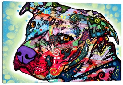 Bulls Eye Canvas Art Print - Staffordshire Bull Terrier Art