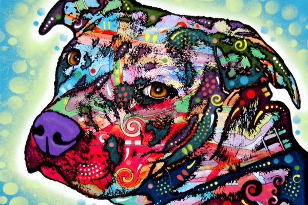 Bulls Eye
