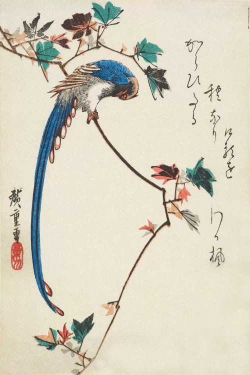 Blue Magpie On Maple Branch by Utagawa Hiroshige wall art