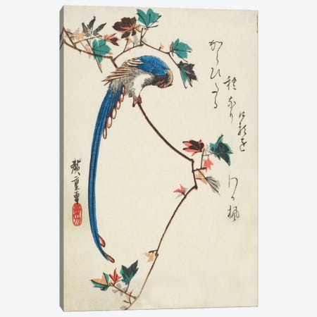 Blue Magpie On Maple Branch Canvas Print #13605} by Utagawa Hiroshige Canvas Print