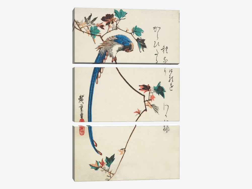 Blue Magpie On Maple Branch by Utagawa Hiroshige 3-piece Art Print
