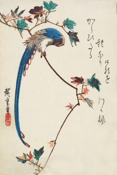 Ukiyo-e: Blue Magpie On Maple Branch by Utagawa Hiroshige