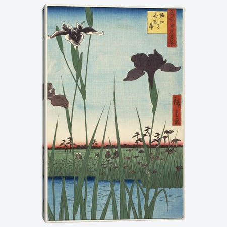 Horikiri no hanashobu (Horikiri Iris Garden) Canvas Print #13611} by Utagawa Hiroshige Canvas Art Print