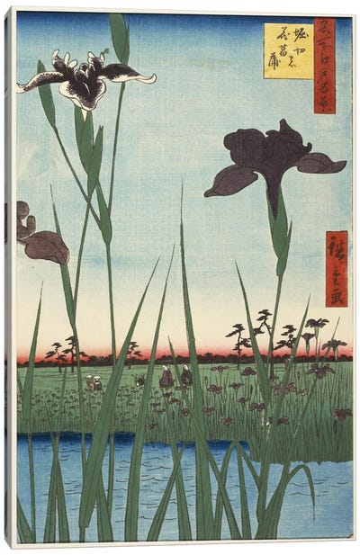 Horikiri no hanashobu (Horikiri Iris Garden) Canvas Art Print