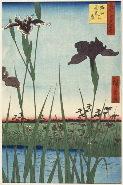 Ukiyo-e: Horikiri no hanashobu (Horikiri Iris Garden) by Utagawa Hiroshige