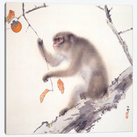 Monkey Canvas Print #13640} by Hashimoto Kansetsu Canvas Artwork