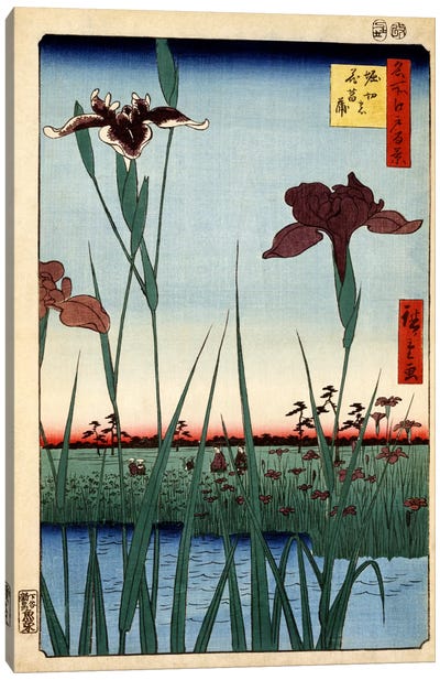 Horikiri no hanashobu (Horikiri Iris Garden) Canvas Art Print