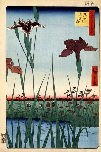 Ukiyo-e: Horikiri no hanashobu (Horikiri Iris Garden) by Utagawa Hiroshige
