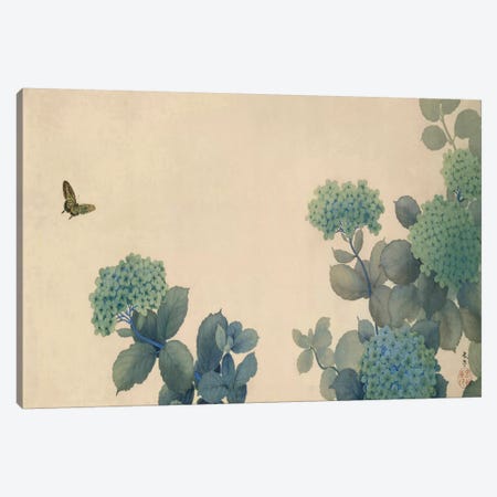 Hydrangeas Canvas Print #13684} by Hishida Shunso Art Print