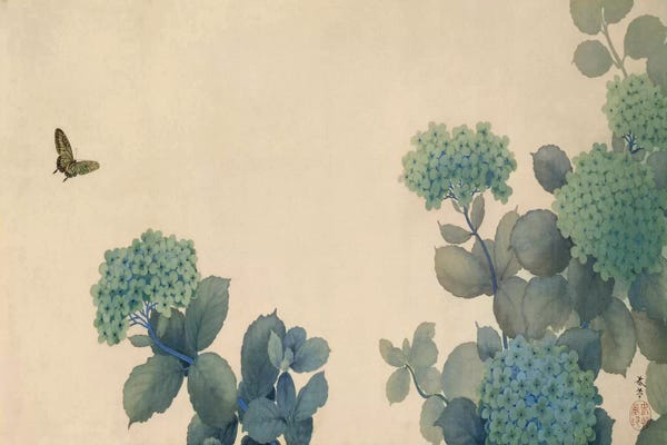 Asian Décor: Hydrangeas by Hishida Shunso