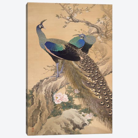 A Pair of Peacocks in Spring Canvas Print #13690} by Imao Keinen Canvas Art Print
