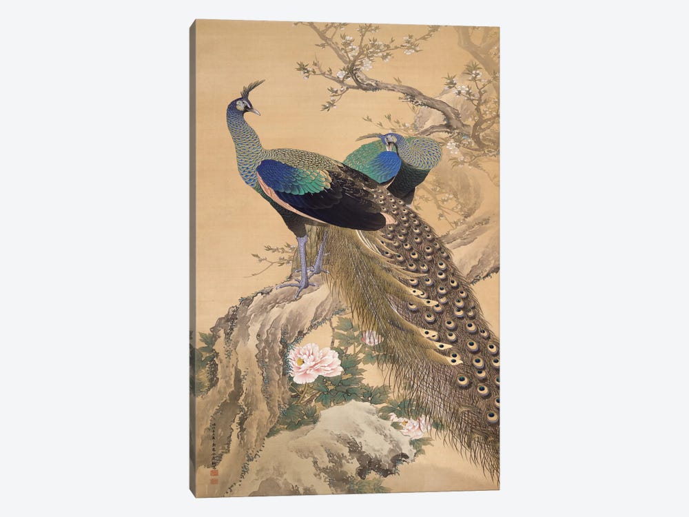 A Pair of Peacocks in Spring 1-piece Canvas Print