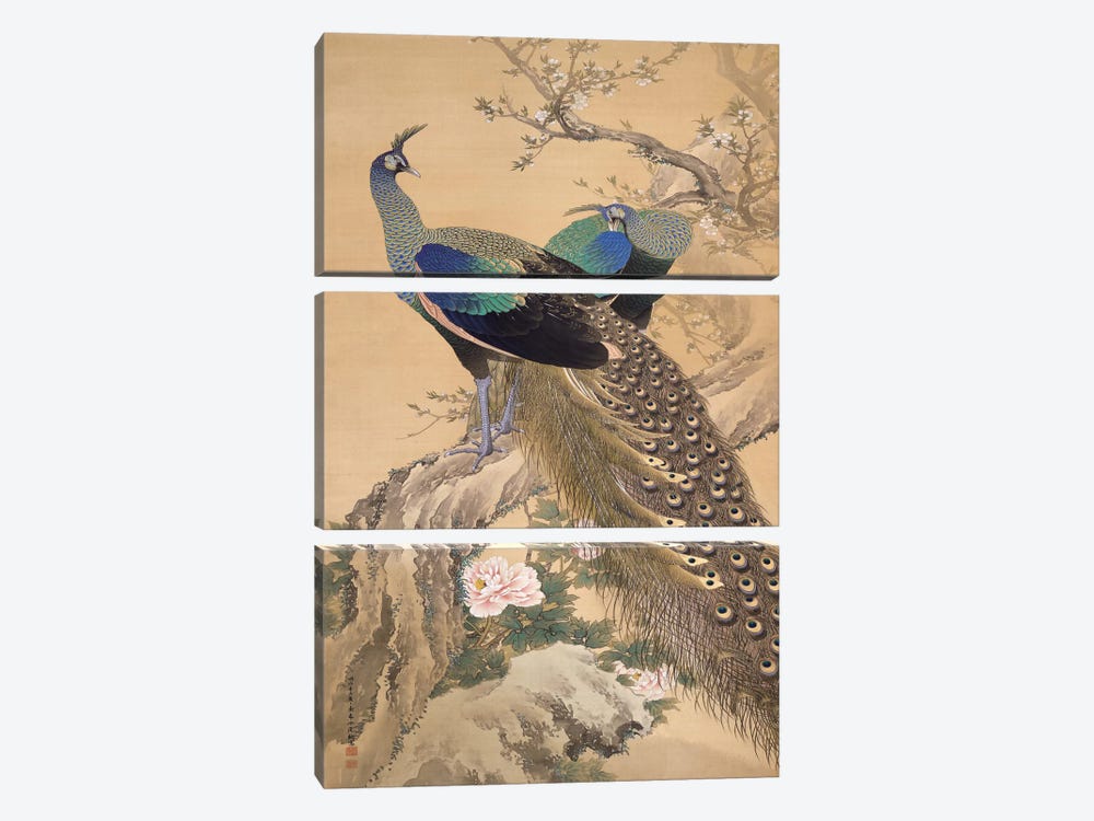A Pair of Peacocks in Spring by Imao Keinen 3-piece Canvas Art Print