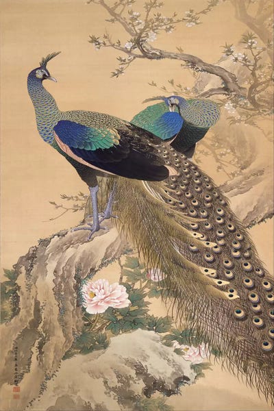 Ukiyo-e: A Pair of Peacocks in Spring by Imao Keinen