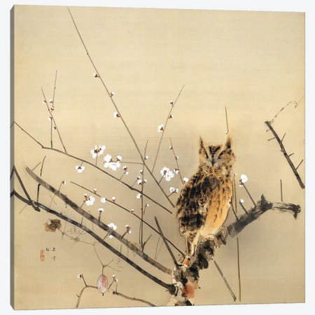 Early Plum Blossoms Canvas Print #13698} by Nishimura Goun Canvas Art Print