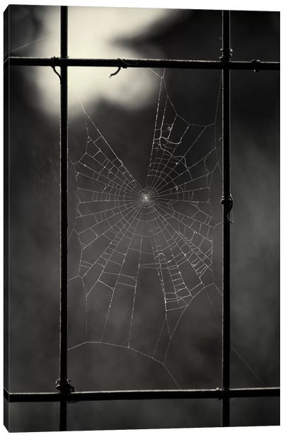 Tinier Furniture Canvas Art Print - Spider Webs