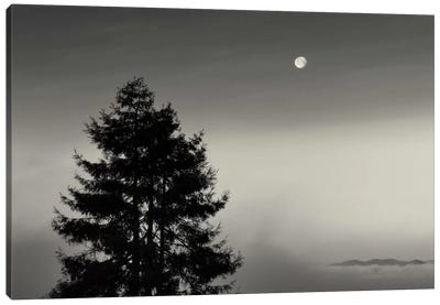 First There is No Mountain Canvas Art Print - Mist & Fog Art