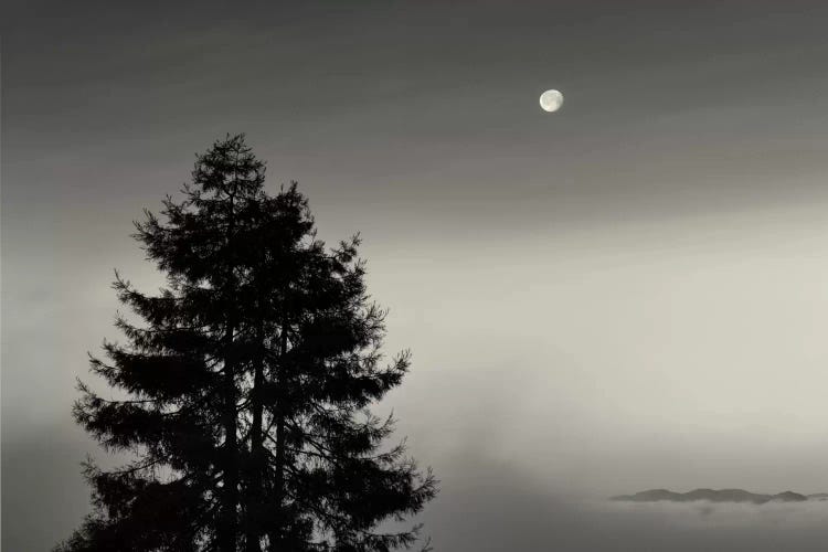 First There is No Mountain by Geoffrey Ansel Agrons wall art