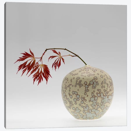 New Chinese Maple Canvas Print #13906} by Geoffrey Ansel Agrons Canvas Wall Art