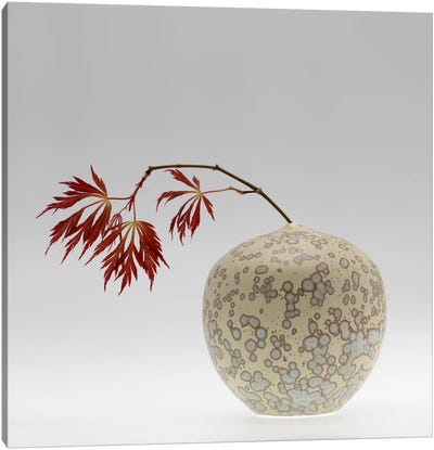 New Chinese Maple Canvas Art Print - Pottery Still Life