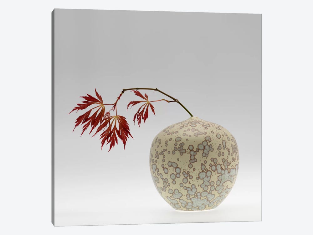 New Chinese Maple by Geoffrey Ansel Agrons 1-piece Canvas Wall Art