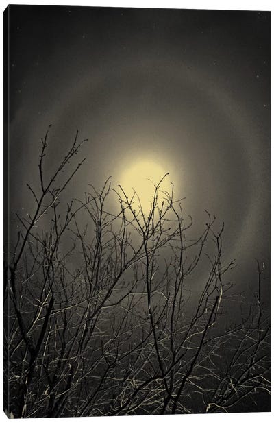 The Moon is the North Wind's Cookie Canvas Art Print