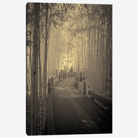 All to myself Alone Canvas Print #13931} by Geoffrey Ansel Agrons Canvas Artwork