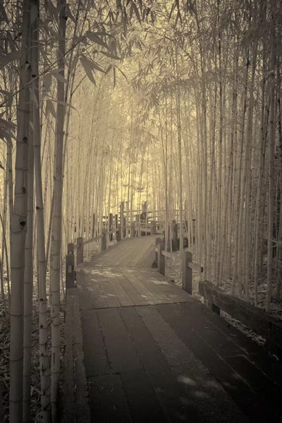 Trails, Paths & Roads: All to myself Alone by Geoffrey Ansel Agrons