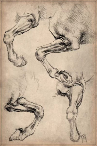 Renaissance: Leonardo's Horse by Leonardo da Vinci