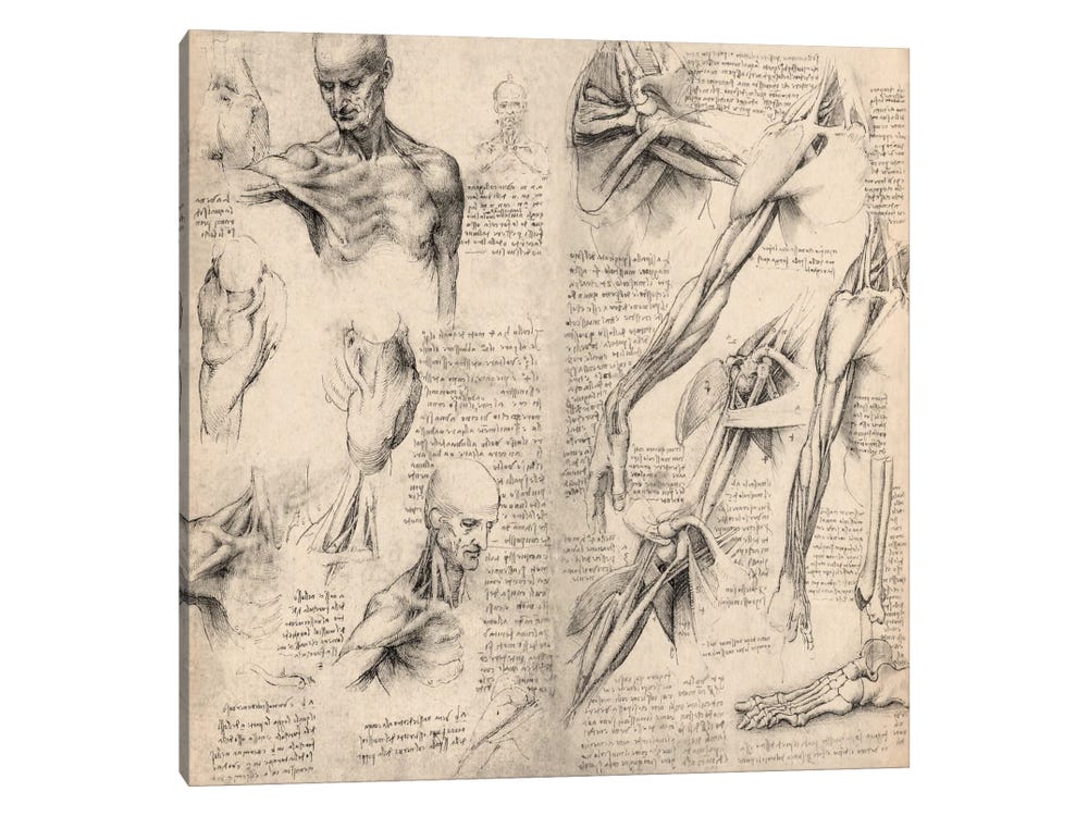 12 Masters of Drawing: From Leonardo da Vinci to Picasso
