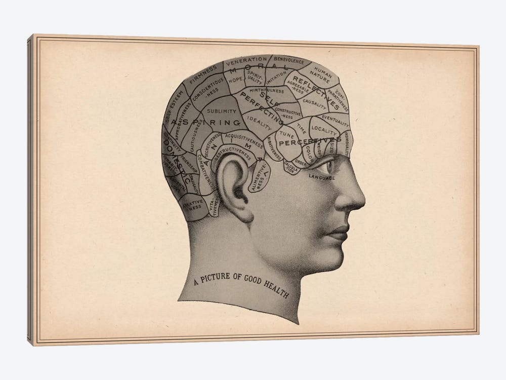 Phrenology Human Head by Unknown Artist 1-piece Canvas Print