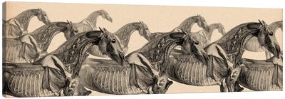 Race Horse Anatomy Collage Canvas Art Print - Skull Art