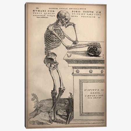 De Humani Corporis Fabrica Skeleton Standing Canvas Print #13985} by Vesalius Canvas Artwork