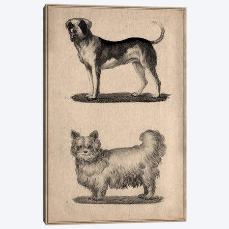 Vintage French Dogs Canvas Print #13991} by Unknown Artist Canvas Wall Art