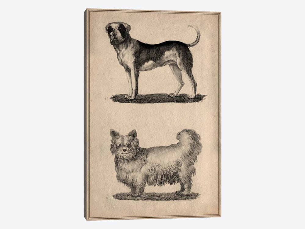 Vintage French Dogs by Unknown Artist 1-piece Canvas Art