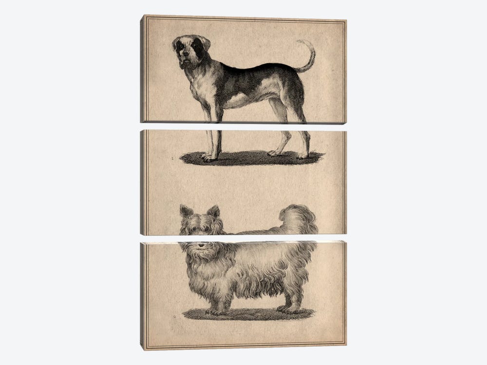 Vintage French Dogs by Unknown Artist 3-piece Canvas Wall Art