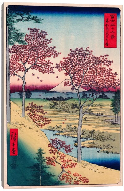 Toto Meguro Yuhigaoka (Yuhigaoka at Meguro in Edo) Canvas Art Print - Maple Tree Art