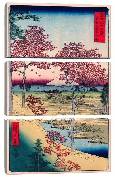 Toto Meguro Yuhigaoka (Yuhigaoka at Meguro in Edo) Canvas Art Print - Maple Tree Art