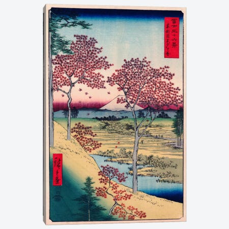 Toto Meguro Yuhigaoka (Yuhigaoka at Meguro in Edo) Canvas Print #1408} by Utagawa Hiroshige Canvas Artwork