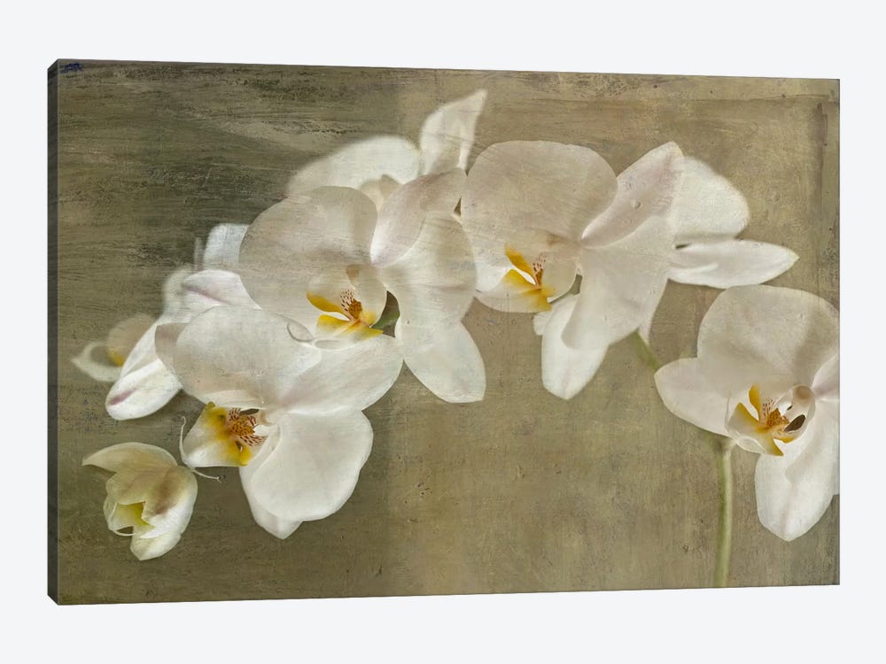 Painted Orchid 1-piece Canvas Art Print