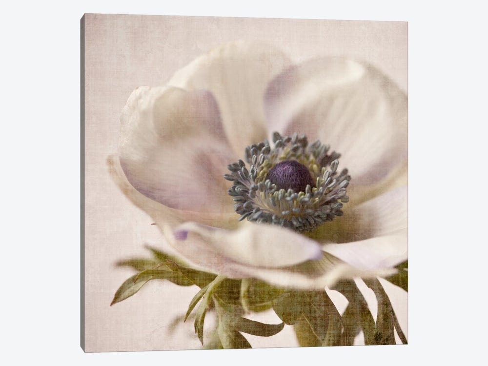 Linen Flower I by Symposium Design 1-piece Canvas Art Print
