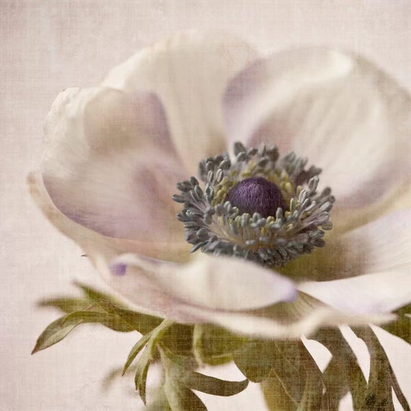 Symposium Design: Linen Flower I by Symposium Design